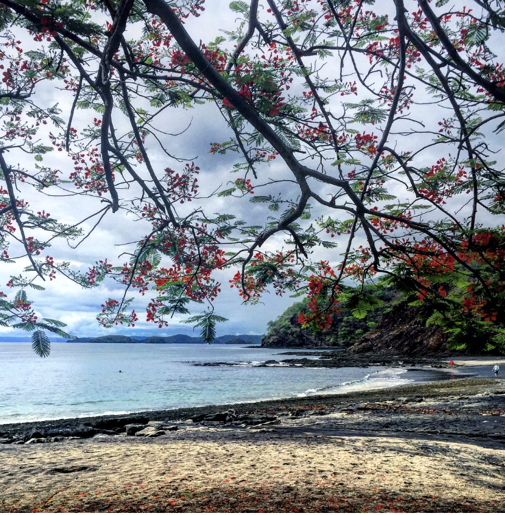 FmD3RLJuRjeyXJmyQxA_thumb_3c2b