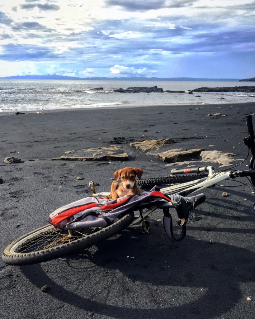 UNADJUSTEDNONRAW_thumb_3c69