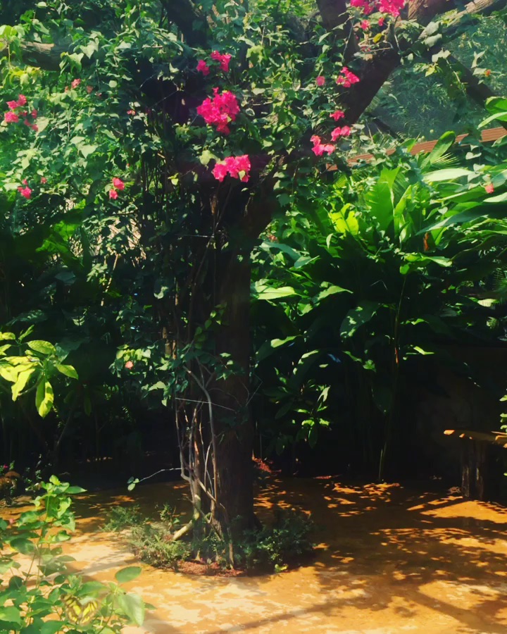 UNADJUSTEDNONRAW_thumb_3cb3