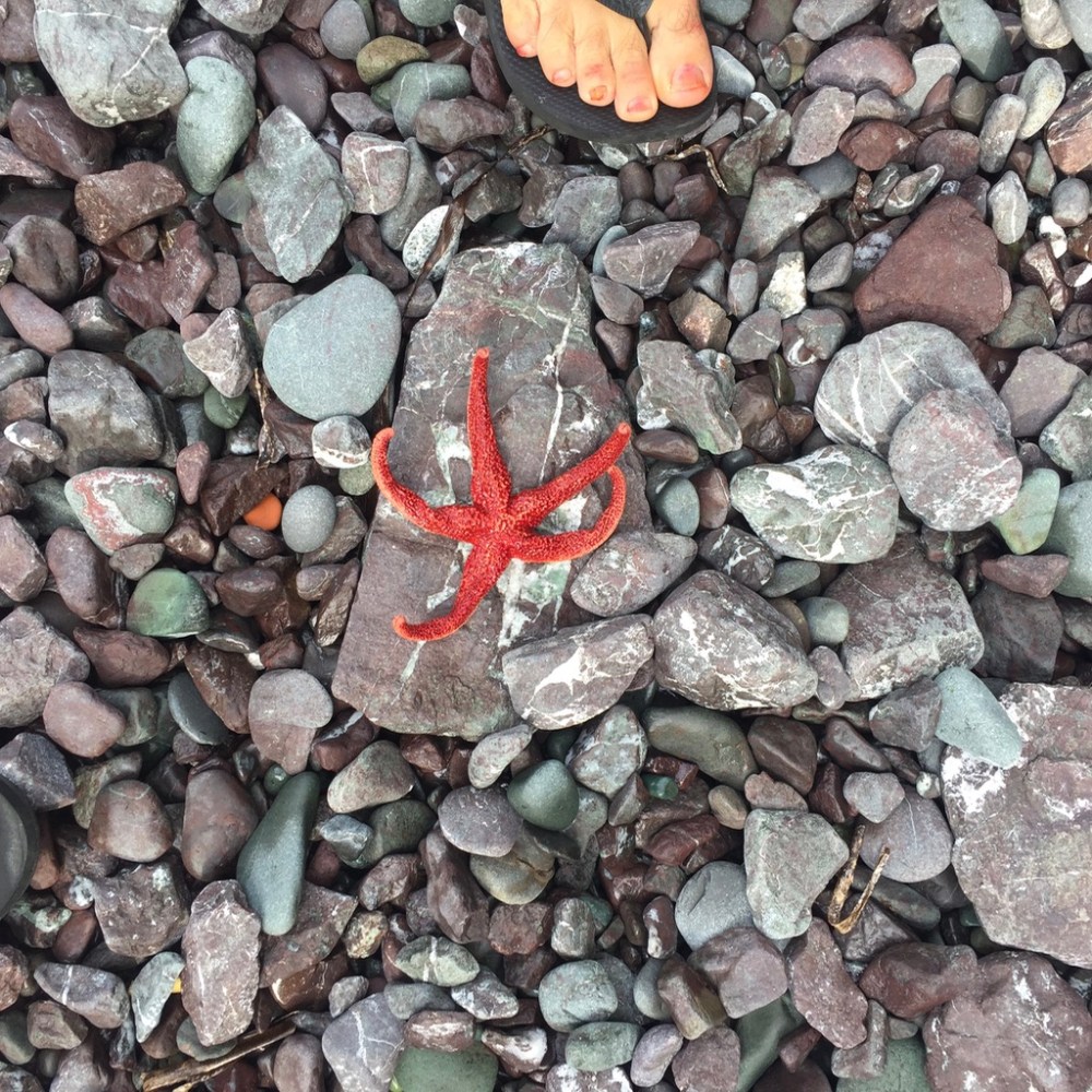 UNADJUSTEDNONRAW_thumb_49cc