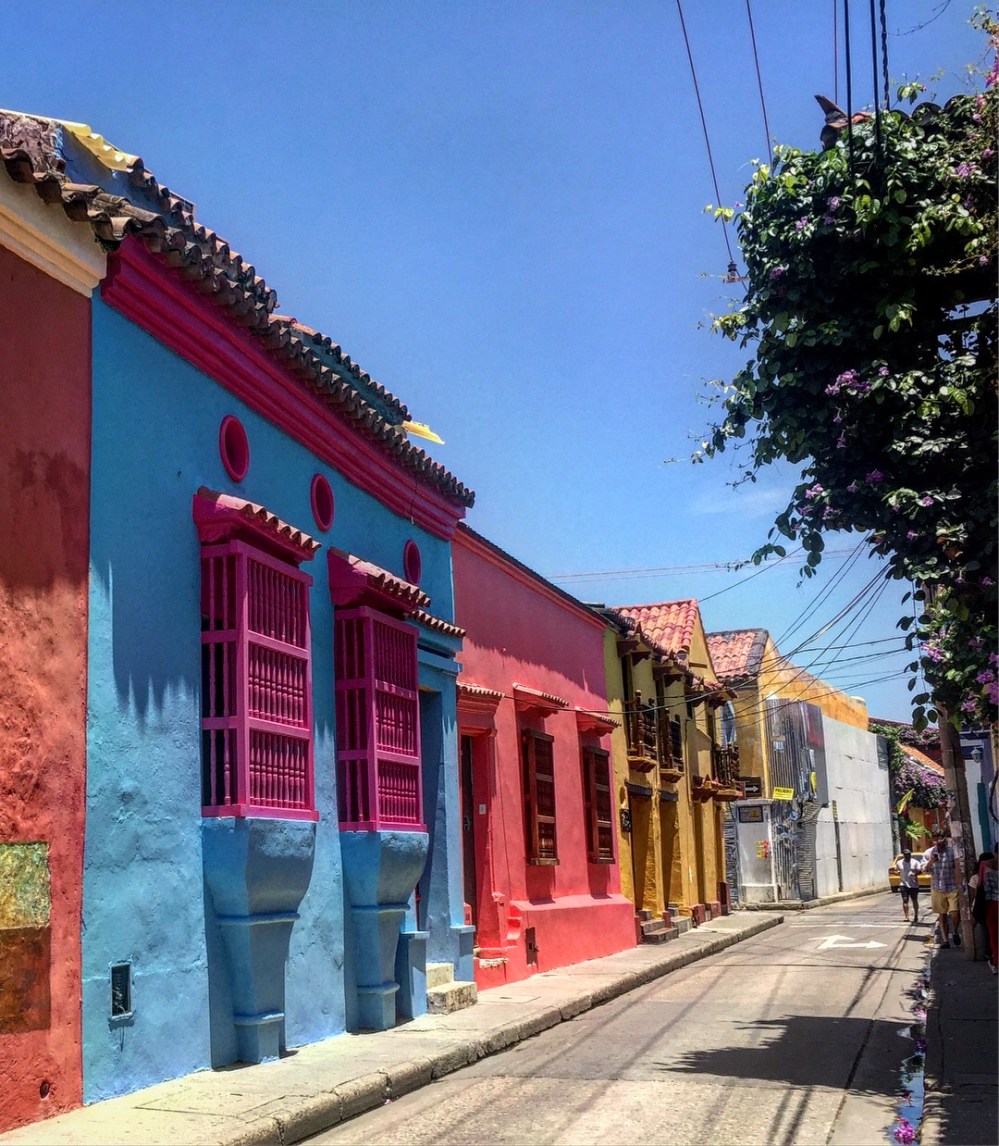 bougainvillea colors